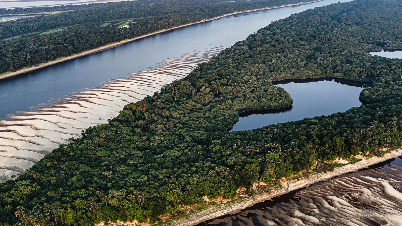 Vista aérea de un río amazónico que se curva entre la selva, con bancos de arena expuestos.