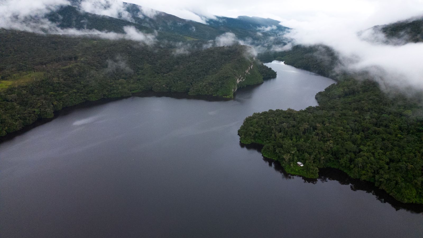 Vista aérea de parcelas agrícolas delimitadas por senderos, rodeadas de bosque.